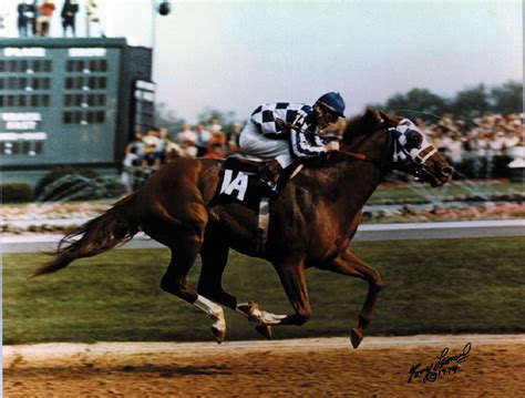 megavideo secretariat|Secretariat .
